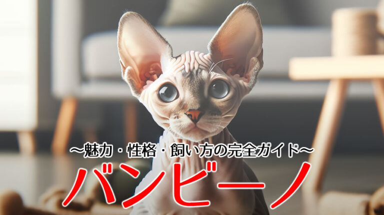 バンビーノ猫のアイキャッチ画像